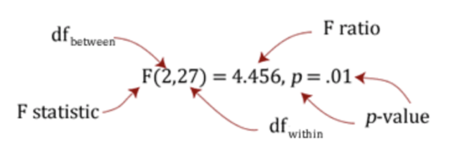¿Qué debo informar?